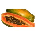 Papaya